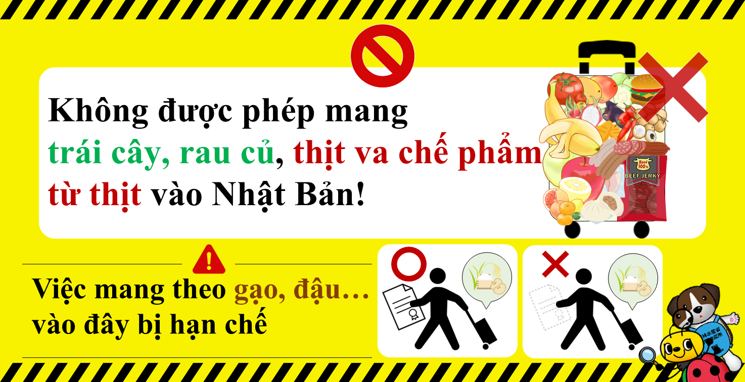 Không được phép mang trái cây, rau củ, thịt và chế phẩm từ thịt vào Nhật Bản! Việc mang theo gạo, đậu... vào đây bị hạn chế